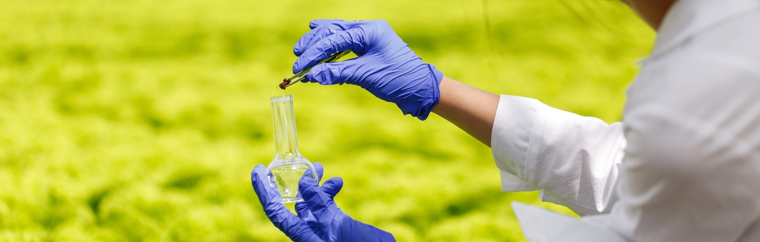 Singapore Strengthens Food Security with Agri-Food Innovation Drive